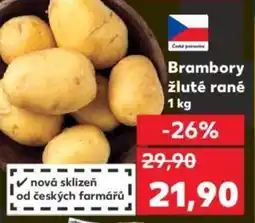 Kaufland Brambory žluté rané nabídka