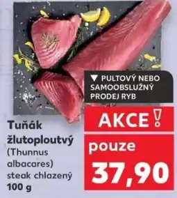 Kaufland Tuňák žlutoploutvý (Thunnus albacares) steak chlazený nabídka