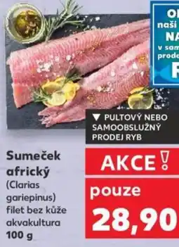 Kaufland Sumeček africký (Clarias gariepinus) filet bez kůže akvakultura nabídka