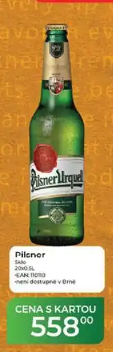 Tamda Foods Pilsner Sklo nabídka