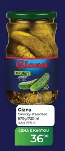 Tamda Foods Giana Okurky standard nabídka