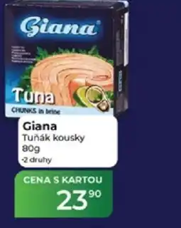 Tamda Foods Giana Tuňák kousky nabídka