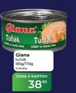 Tamda Foods Giana tuňák nabídka