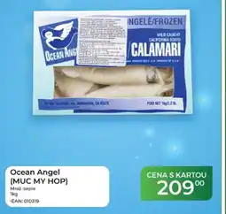 Tamda Foods Ocean Angel (MUC MY HOP) Mraž. sépie nabídka