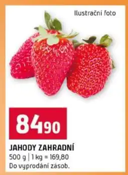 Terno Jahody zahradní nabídka