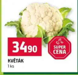 Terno Květák nabídka