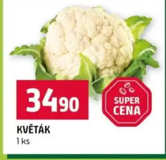 Terno Květák nabídka