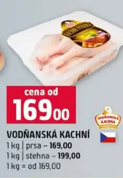 Terno VODŇANSKÁ KACHNÍ nabídka