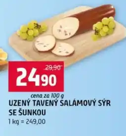 Terno UZENÝ TAVENÝ SALÁMOVÝ SÝR SE ŠUNKOU nabídka