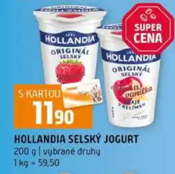 Terno Hollandia Selský jogurt nabídka