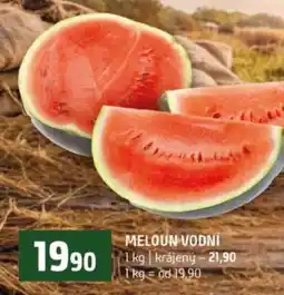 Terno MELOUN VODNÍ nabídka