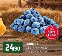 Terno Borůvky nabídka