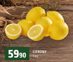 Terno Citrony nabídka