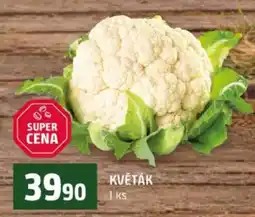 Terno Květák nabídka