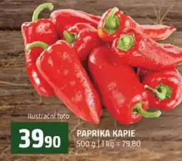 Terno Paprika kapie nabídka