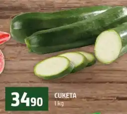 Terno CUKETA nabídka