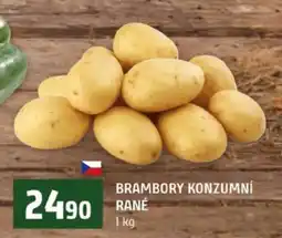 Terno Brambory konzumní rané nabídka
