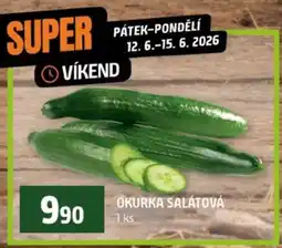 Terno OKURKA SALÁTOVÁ nabídka