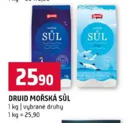 Terno DRUID MOŘSKÁ SŮL nabídka