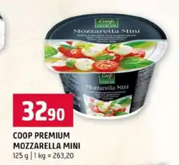 Terno COOP PREMIUM MOZZARELLA MINI nabídka
