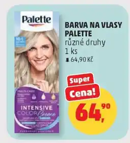 Penny Market BARVA NA VLASY PALETTE nabídka