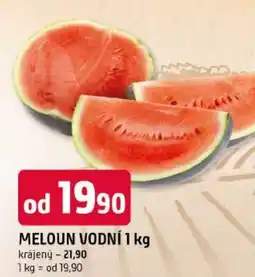Trefa Meloun vodní nabídka