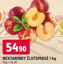 Trefa Nektarinky žlutomasé nabídka