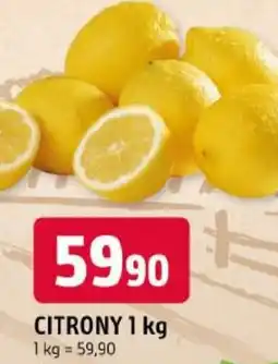Trefa Citrony nabídka