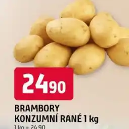 Trefa Brambory konzumní rané nabídka