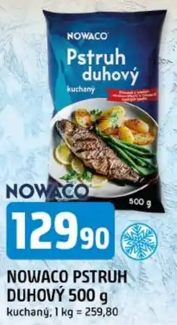 Trefa Nowaco pstruh duhový nabídka