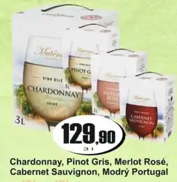 Adam Chardonnay, Pinot Gris, Merlot Rosé, Cabernet Sauvignon, Modrý Portugal nabídka