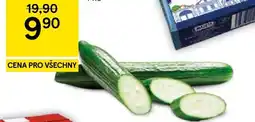 Tesco Okurka hadovka nabídka