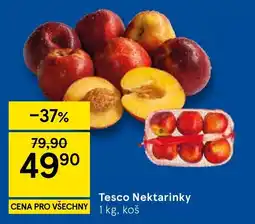 Tesco Tesco Nektarinky nabídka