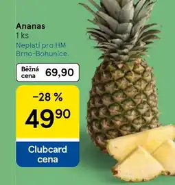 Tesco Ananas nabídka