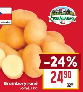 Billa Brambory rané nabídka