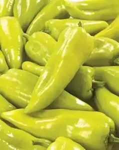 Trefa Paprika zelená špičatá 1kg nabídka
