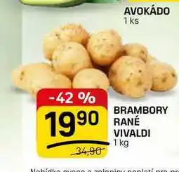 Flop BRAMBORY RANÉ VIVALDI nabídka