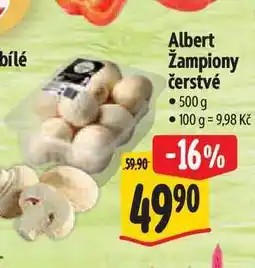 Albert Albert Žampiony čerstvé nabídka