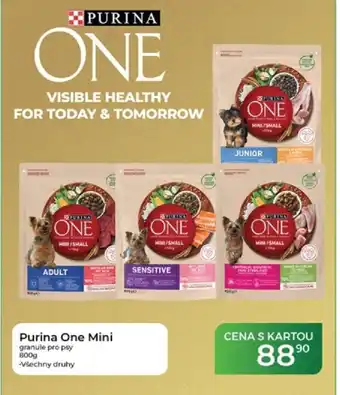 Tamda Foods Purina One Mini granule pro psy nabídka