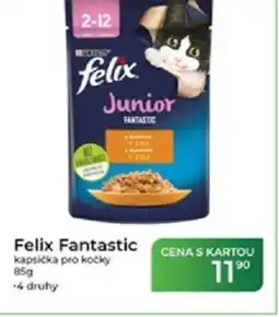 Tamda Foods Felix Fantastic kapsička pro kočky nabídka