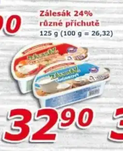 ESO MARKET Zálesák 24% různé příchutě nabídka