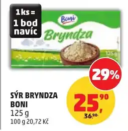 Penny Market Sýr bryndza boni nabídka