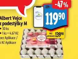 Albert Albert Vejce z podestýlky M nabídka