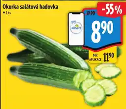 Albert Okurka salátová hadovka nabídka