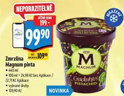 Albert Zmrzlina Magnum pinta nabídka