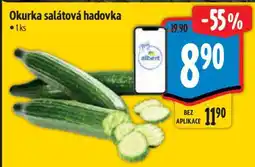 Albert Okurka salátová hadovka nabídka