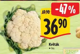 Albert Květák nabídka