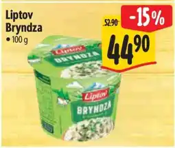 Albert Liptov Bryndza nabídka