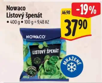 Albert Nowaco Listový špenát nabídka