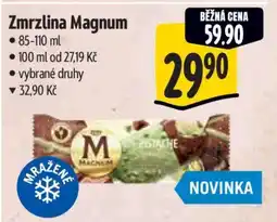 Albert Zmrzlina Magnum nabídka